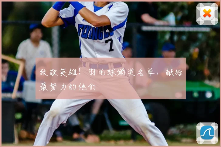 致敬英雄!羽毛球颁奖名单,献给最努力的他们